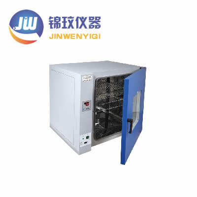 鼓風(fēng)干燥箱-250度